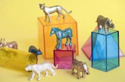 成长教育，塑造未来的关键