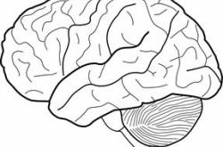 心理指导手抄报，培养健康心理，塑造美好未来