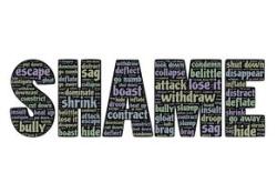 心理指导师证的价值与当前市场价格分析