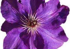 温暖心灵，打动人心的暖心短句与图片