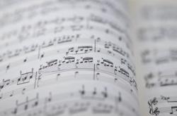 编写心理指导手册，内容构建与实施指南