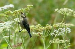 触动心灵的瞬间，打动人心弦的图片