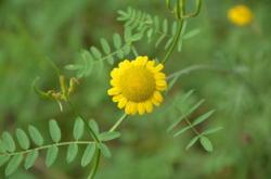 温暖心灵的话语，用短句传递爱与力量