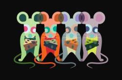 幼儿园心理健康教育活动记录，培养阳光心态，共筑快乐童年