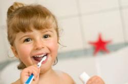 教育养成，塑造未来的关键