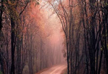 深入家庭,倾听心声—学生家访谈心记录表的重要性与应用