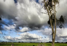 宜宾教育新闻网，推动教育信息化，促进教育公平