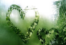 探索教育资料下载平台，数字化时代的学习革命