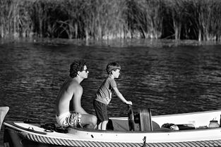 父母受教育经历的启示，教育的力量与传承