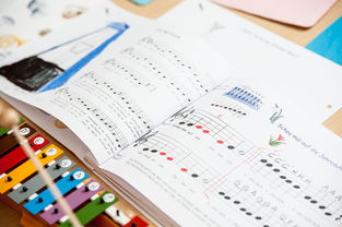 教育工作者的教育理念,培养全面发展的未来公民 教育工作者的教育理念,培养全面发展的未来公民