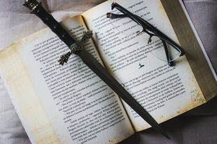 教育期刊概览，探索知识的海洋