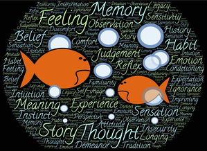 探索英语教育教学理念，构建有效学习环境的关键要素