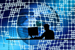 教育资讯中心，连接知识与未来的桥梁