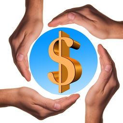 教育热点事件分析，挑战与机遇