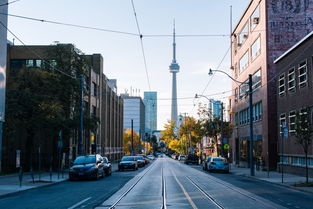 探索最佳学习之地,哪个城市适合上学? 探索最佳学习之地,哪个城市适合上学?