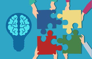 深入理解双新教育理念，创新与实践的融合