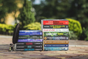 探索全球教育,哪个地方上学好? 探索全球教育,哪个地方上学好?