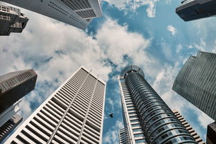 探索中国教育高地,优质教育资源分布与区域特色 探索中国教育高地,优质教育资源分布与区域特色